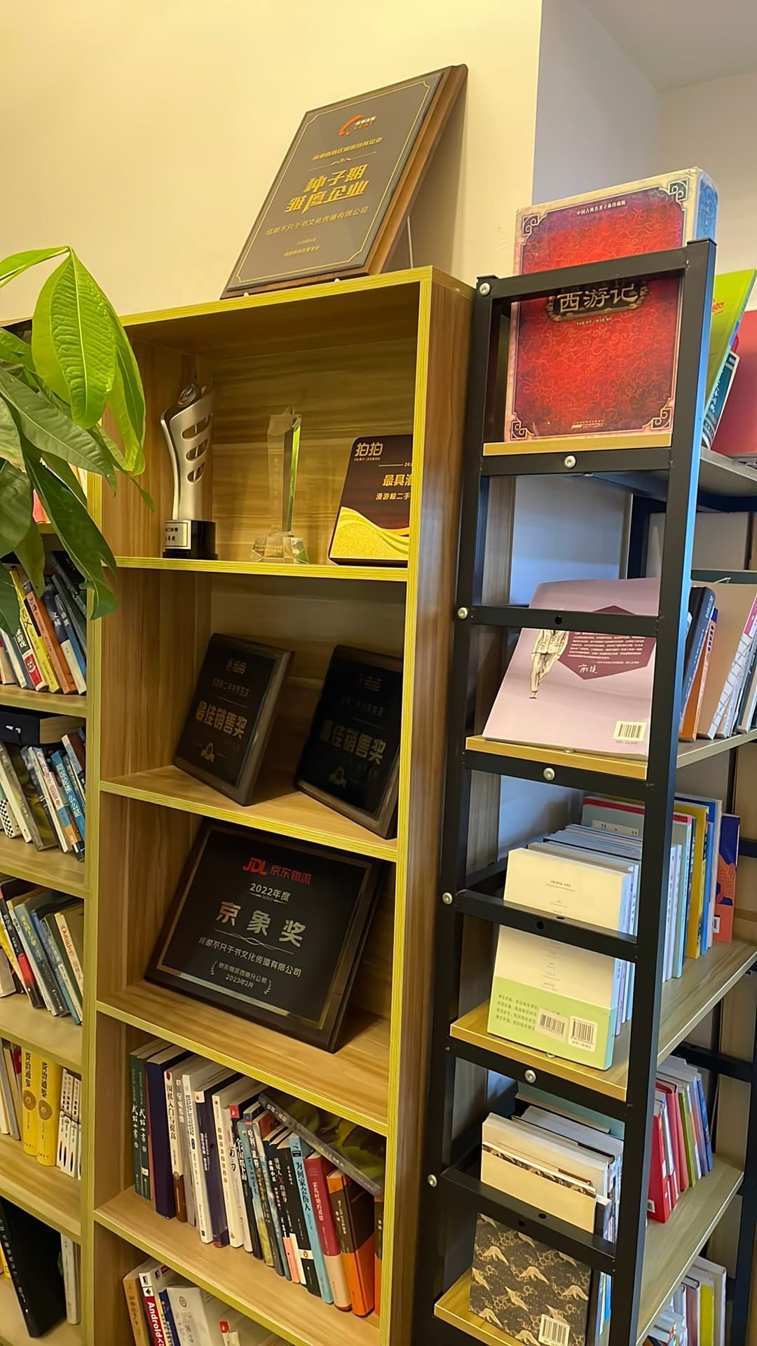 图书与荣誉展示